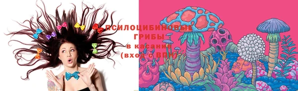 спиды Краснослободск