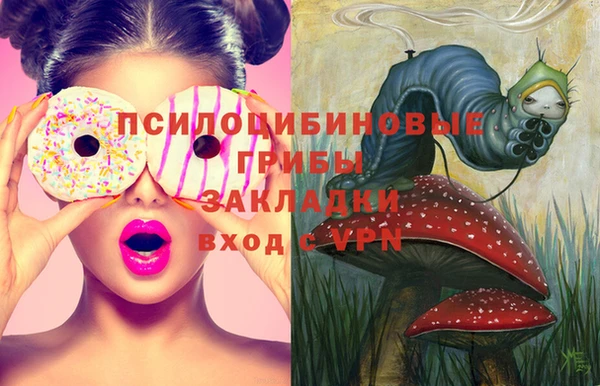 прущие крисы Коряжма